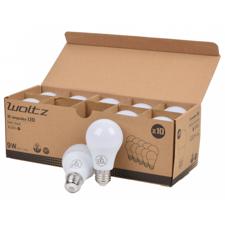 Lot de 10 Ampoules E27 LED SMD 9W